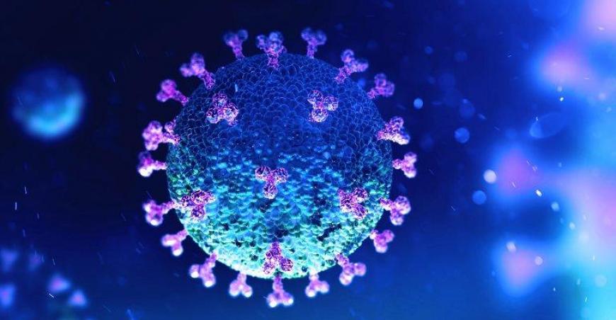 PGFN lança transação da pandemia